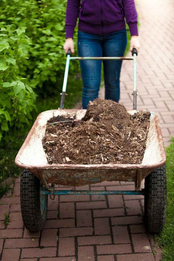 Cómo adelgazar con jardinería activa 1 como adelgazar con jardineria activa