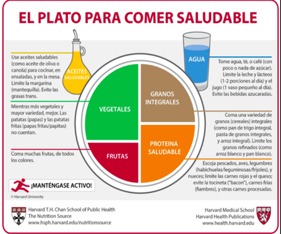 Cómo integrar el agua en tu rutina de adelgazamiento 1 como integrar el agua en tu rutina de adelgazamiento
