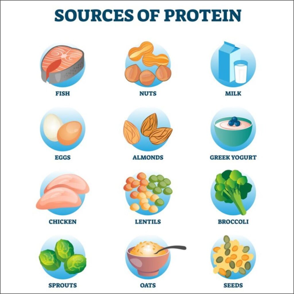 como seleccionar proteinas efectivas