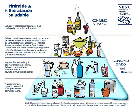 Consejos para hábitos de hidratación en entrenamientos 1 consejos para habitos de hidratacion en entrenamientos
