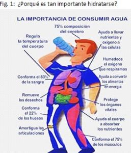 Consejos para hidratarse correctamente durante ejercicios 1 consejos para hidratarse correctamente durante ejercicios