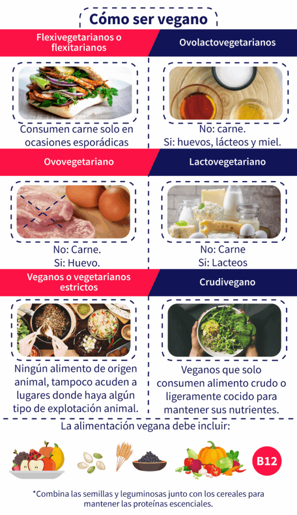 Consejos para opciones veganas para adelgazar 1 consejos para opciones veganas para adelgazar