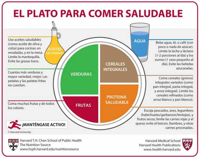 Consejos para una alimentación saludable en deportistas 1 consejos para una alimentacion saludable en deportistas