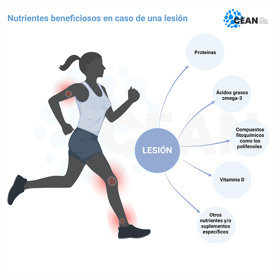 Estrategias para evitar lesiones con nutrientes clave 1 estrategias para evitar lesiones con nutrientes clave