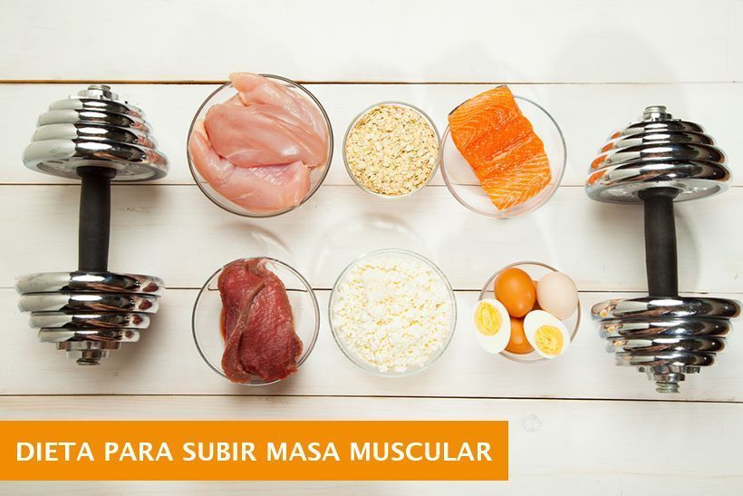 Estrategias para ganar músculo con alimentación adecuada 1 estrategias para ganar musculo con alimentacion adecuada