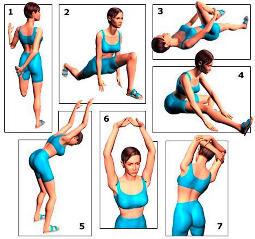 Estrategias para rutinas de flexibilidad matutina 1 estrategias para rutinas de flexibilidad matutina