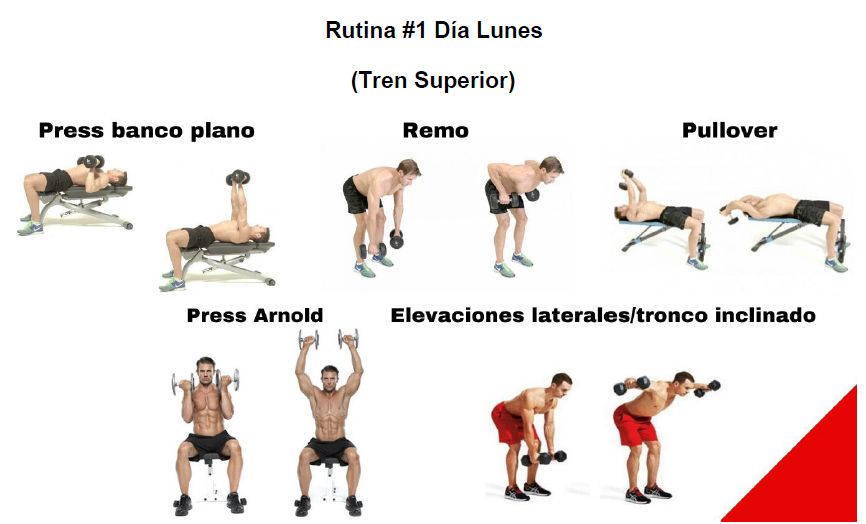 estrategias para rutinas de fuerza con pesas