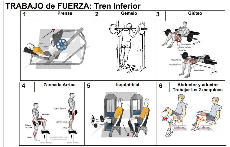 Estrategias para rutinas de resistencia para ciclismo 1 estrategias para rutinas de resistencia para ciclismo