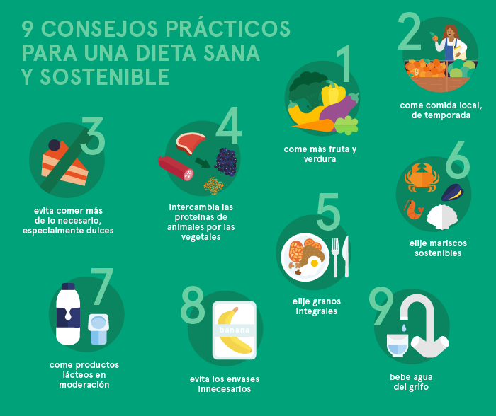 Estrategias para una dieta sostenible a largo plazo 1 estrategias para una dieta sostenible a largo plazo