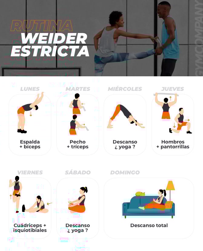 Guía completa para rutinas de cardio en exteriores 1 guia completa para rutinas de cardio en