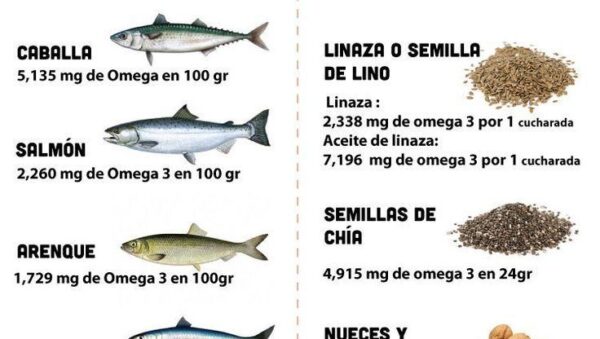 guia para alimentos ricos en omega 3 para peso