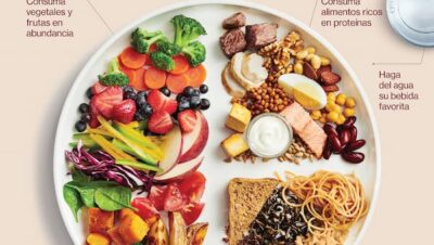 guia para comidas ricas en proteinas