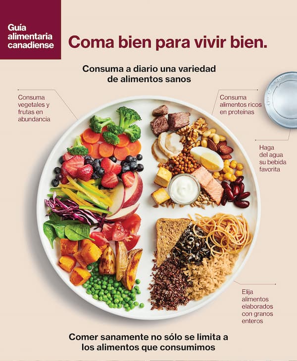 guia para comidas ricas en proteinas