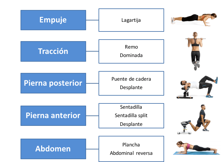 Guía para entrenamientos en casa sin equipo 1 guia para entrenamientos en casa sin equipo