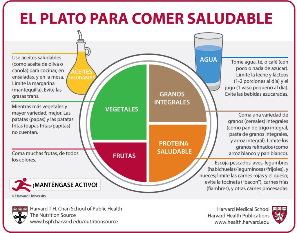 Guía para grasas saludables en la dieta 1 guia para grasas saludables en la dieta