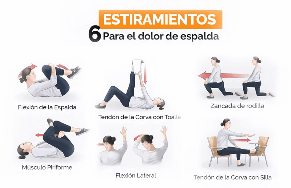 Guía para mejorar la postura con ejercicios 1 guia para mejorar la postura con ejercicios
