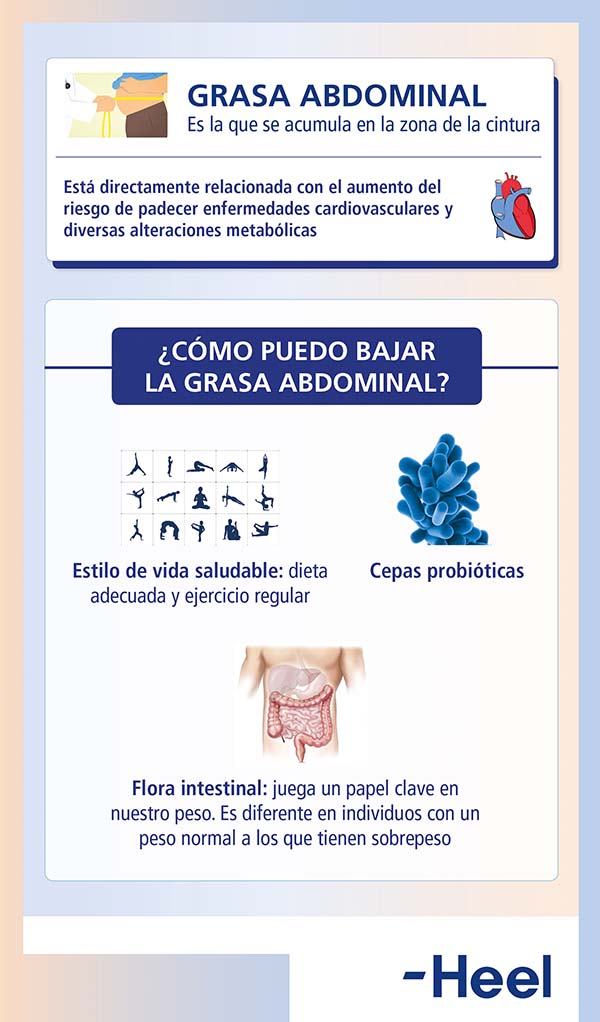 Guía para probióticos en la pérdida de grasa 1 guia para probioticos en la perdida de grasa