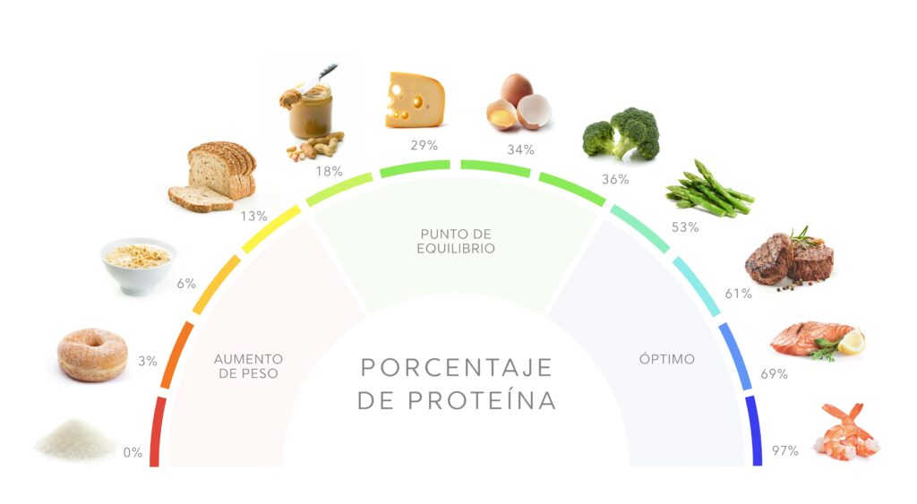 Guía para proteínas en la dieta adelgazante 1 guia para proteinas en la dieta adelgazante