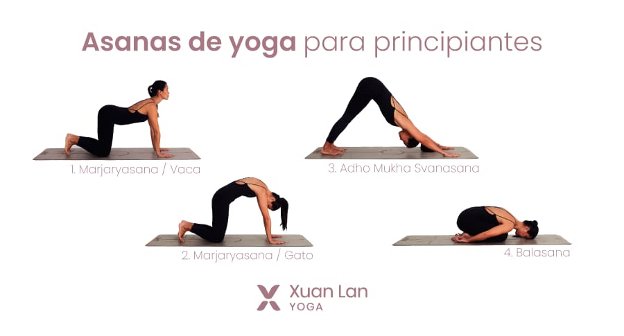 Guía para rutinas de yoga para principiantes 1 guia para rutinas de yoga para principiantes