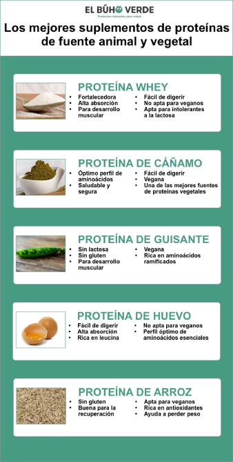 Guía para suplementos de proteína vegetal 1 guia para suplementos de proteina vegetal