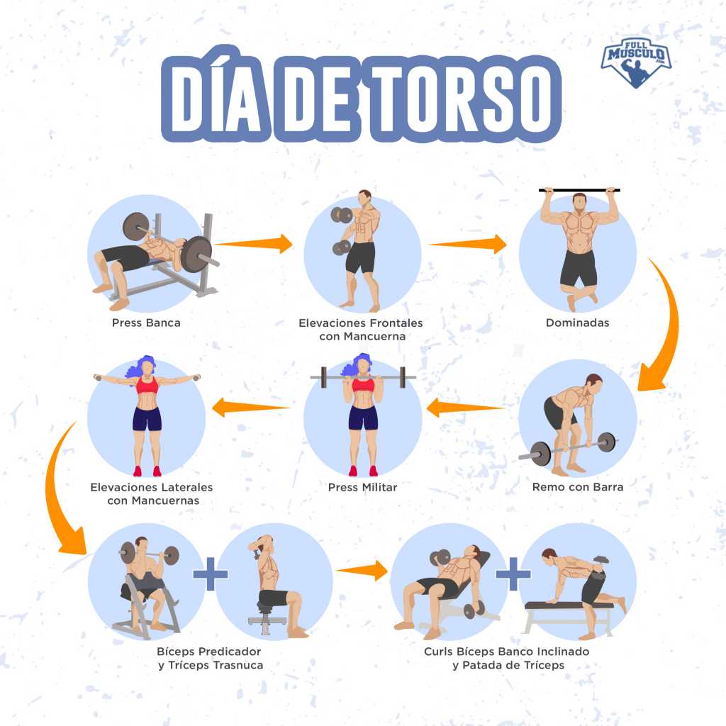 Ideas de rutinas de ejercicios para el torso completo 1 ideas de rutinas de ejercicios para el torso completo