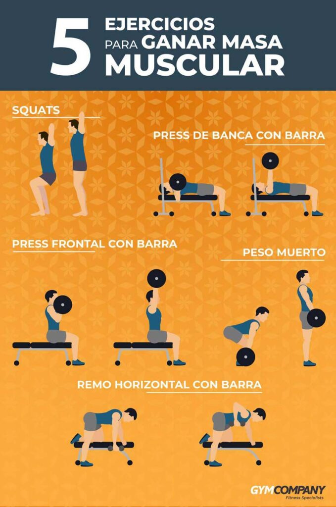 Ideas de rutinas de ejercicios para ganar músculo 1 ideas de rutinas de ejercicios para ganar musculo