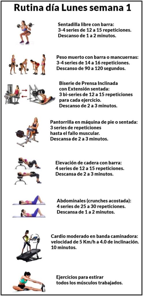 Mejores rutinas de workout para mujeres 1 mejores rutinas de workout para mujeres