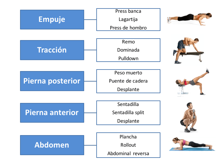 Pasos para planes de fitness estacionales 1 pasos para planes de fitness estacionales