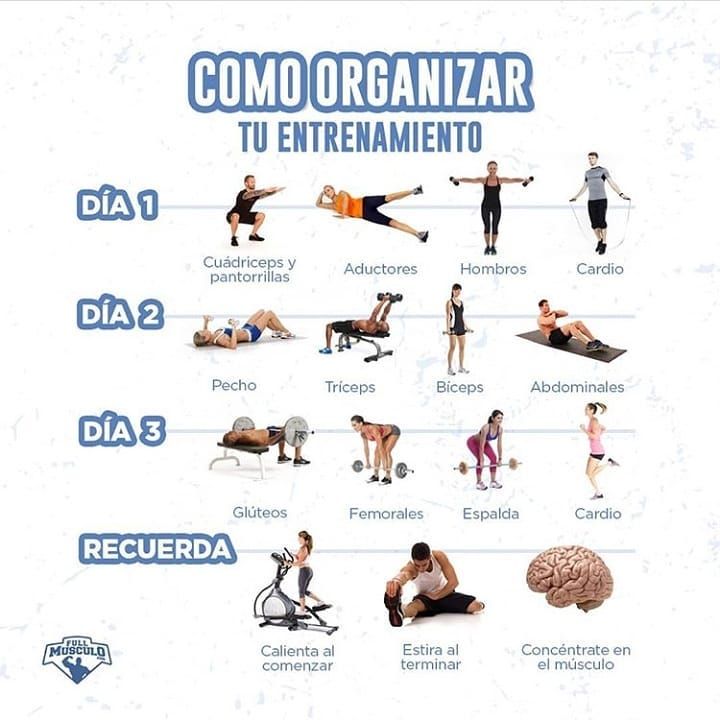 Pasos para rutinas de acondicionamiento físico en gimnasio 1 pasos para rutinas de acondicionamiento fisico en gimnasio