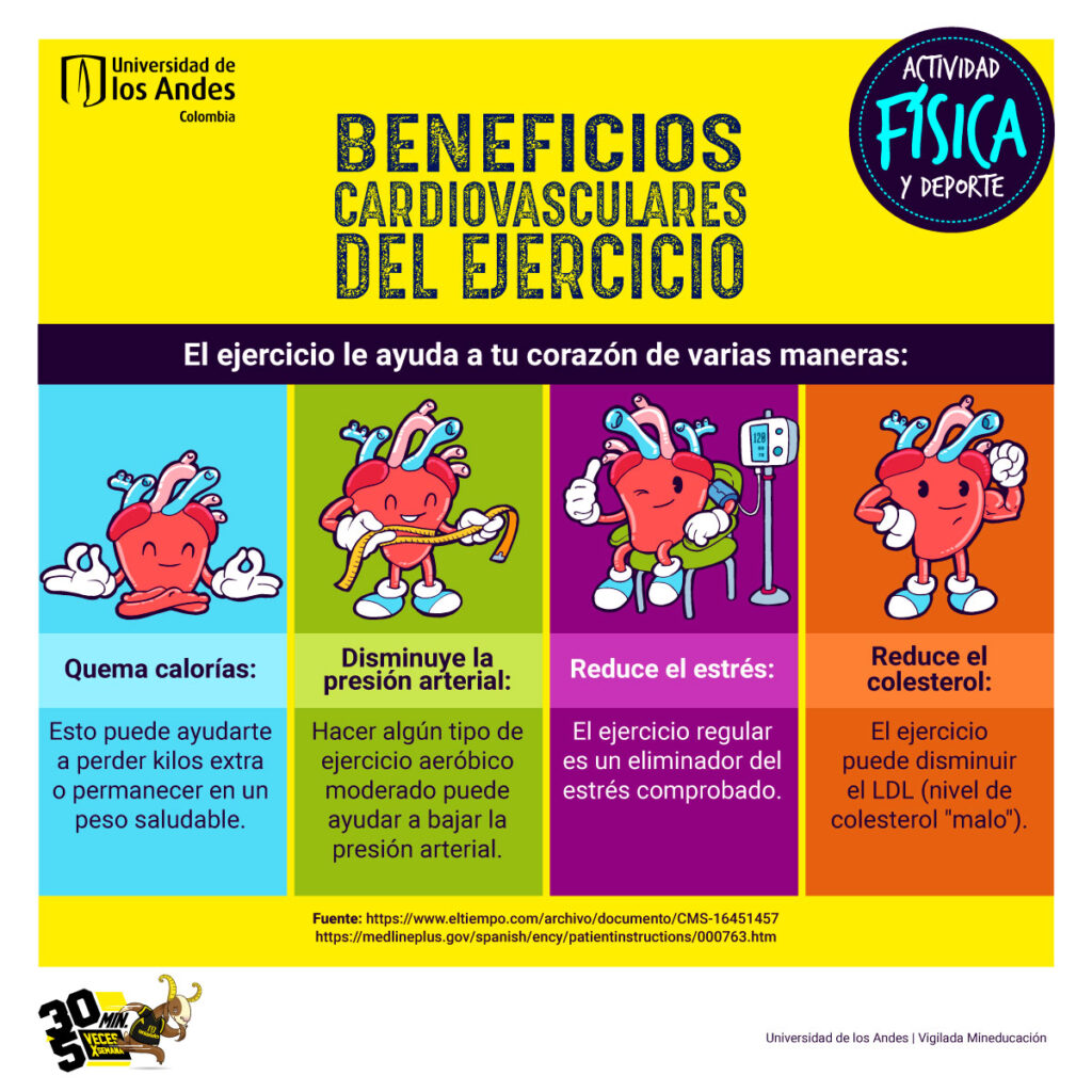 pasos para rutinas de cardio para el corazon
