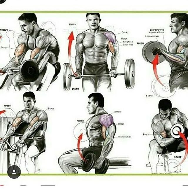 Pasos para rutinas de entrenamiento para bíceps 1 pasos para rutinas de entrenamiento para biceps