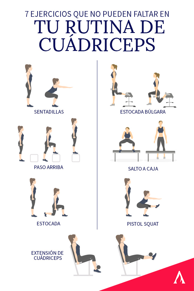 Pasos para rutinas de entrenamiento para cuádriceps 1 pasos para rutinas de entrenamiento para cuadriceps
