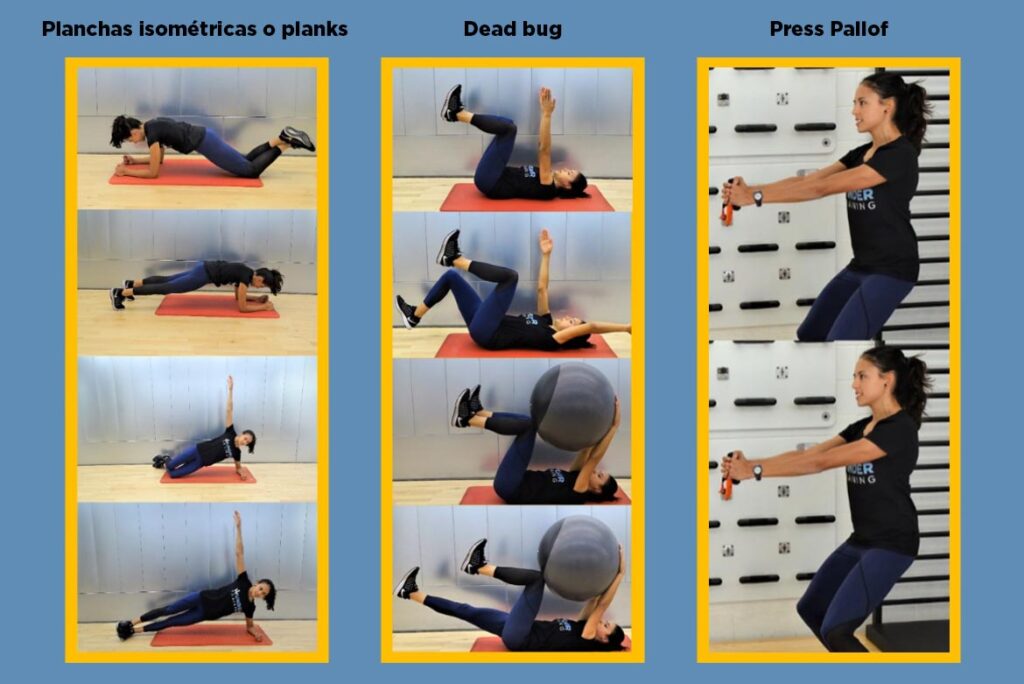 Pasos para rutinas de entrenamiento para espalda fuerte 1 pasos para rutinas de entrenamiento para espalda fuerte