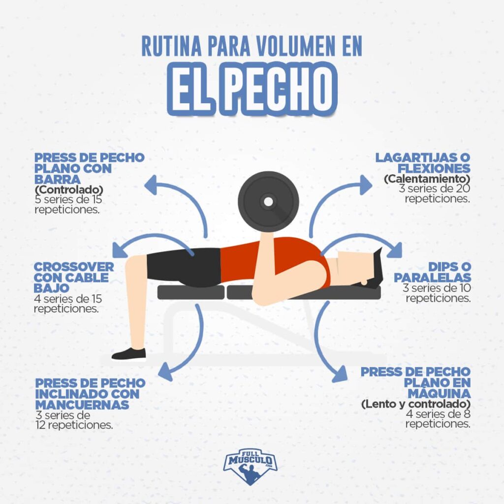 Pasos para rutinas de entrenamiento para pecho 1 pasos para rutinas de entrenamiento para pecho