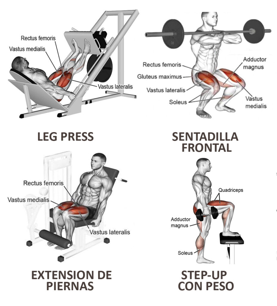 Pasos para rutinas de entrenamiento para piernas 1 pasos para rutinas de entrenamiento para piernas