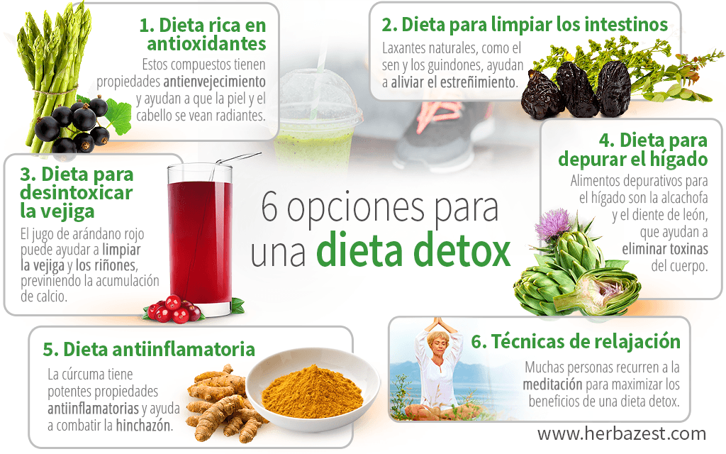 Pasos para un detox ligero y saludable 1 pasos para un detox ligero y saludable