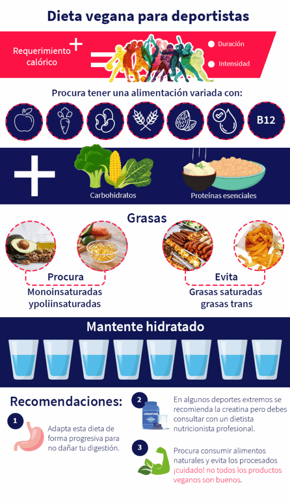 Pasos para una dieta para veganos en deportes 1 pasos para una dieta para veganos en deportes