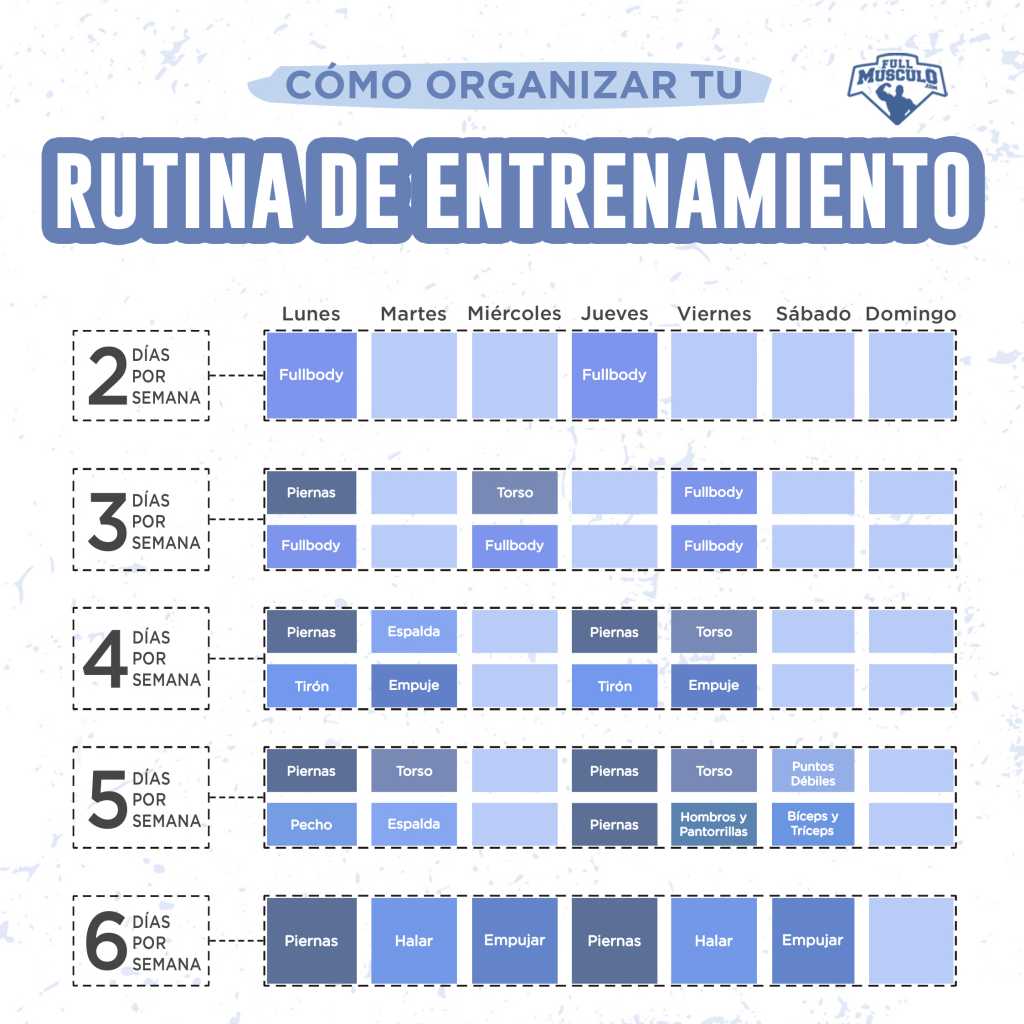 tutorial para rutinas semanales efectivas
